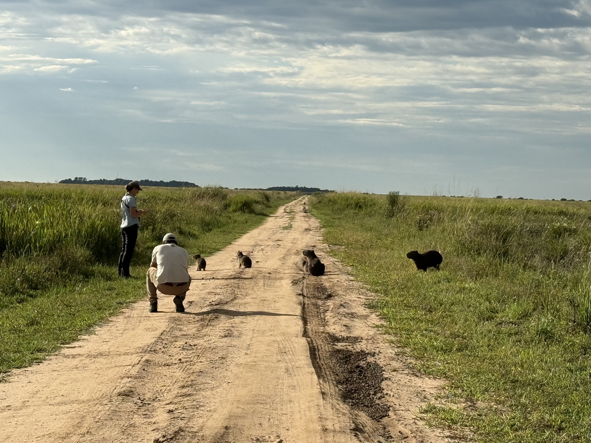NORTH EAST: IBERÁ WETLANDS AND IGUAZÚ FALLS