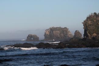 Ecoregiones