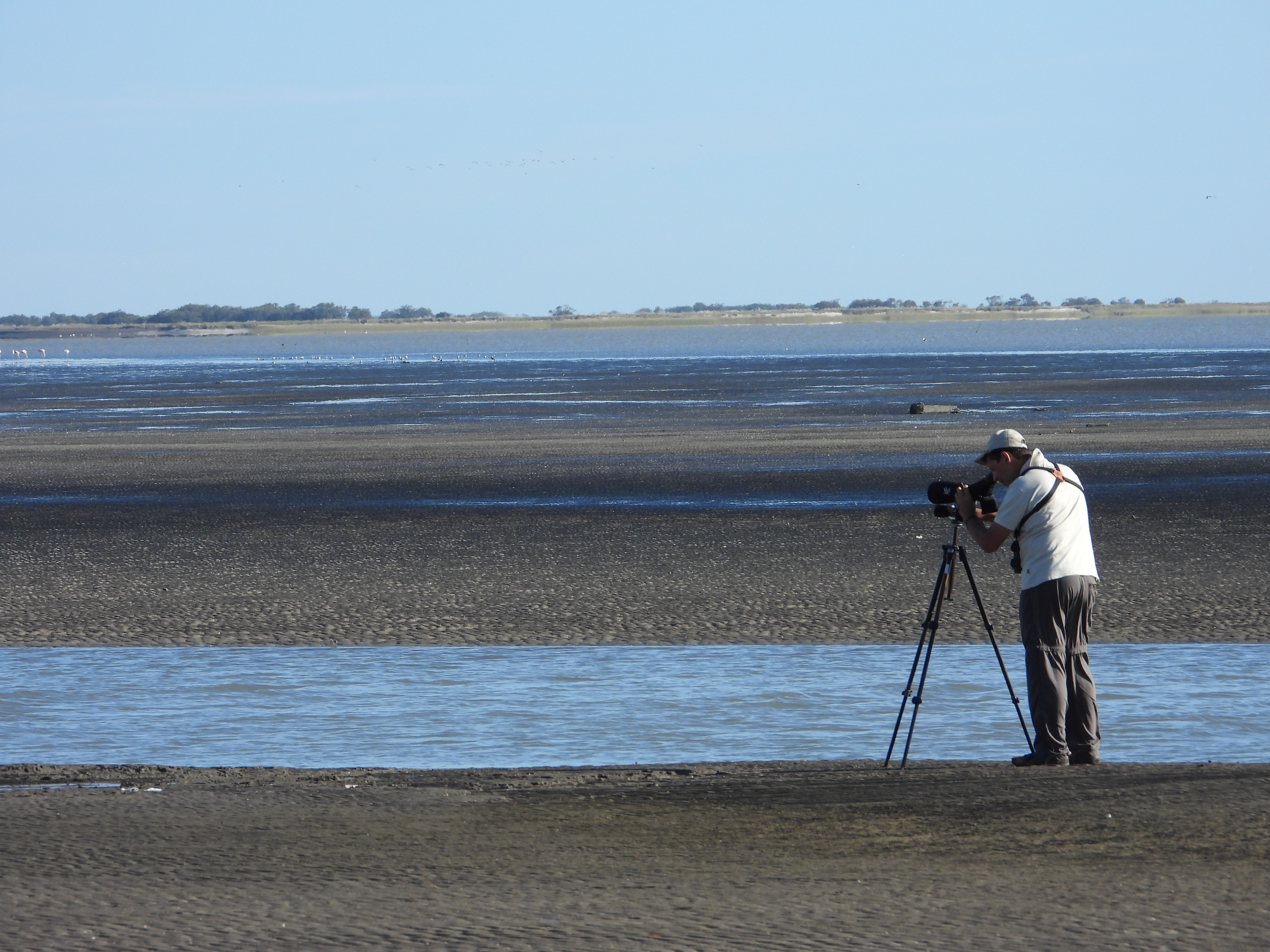 Pampas, Coast and Delta