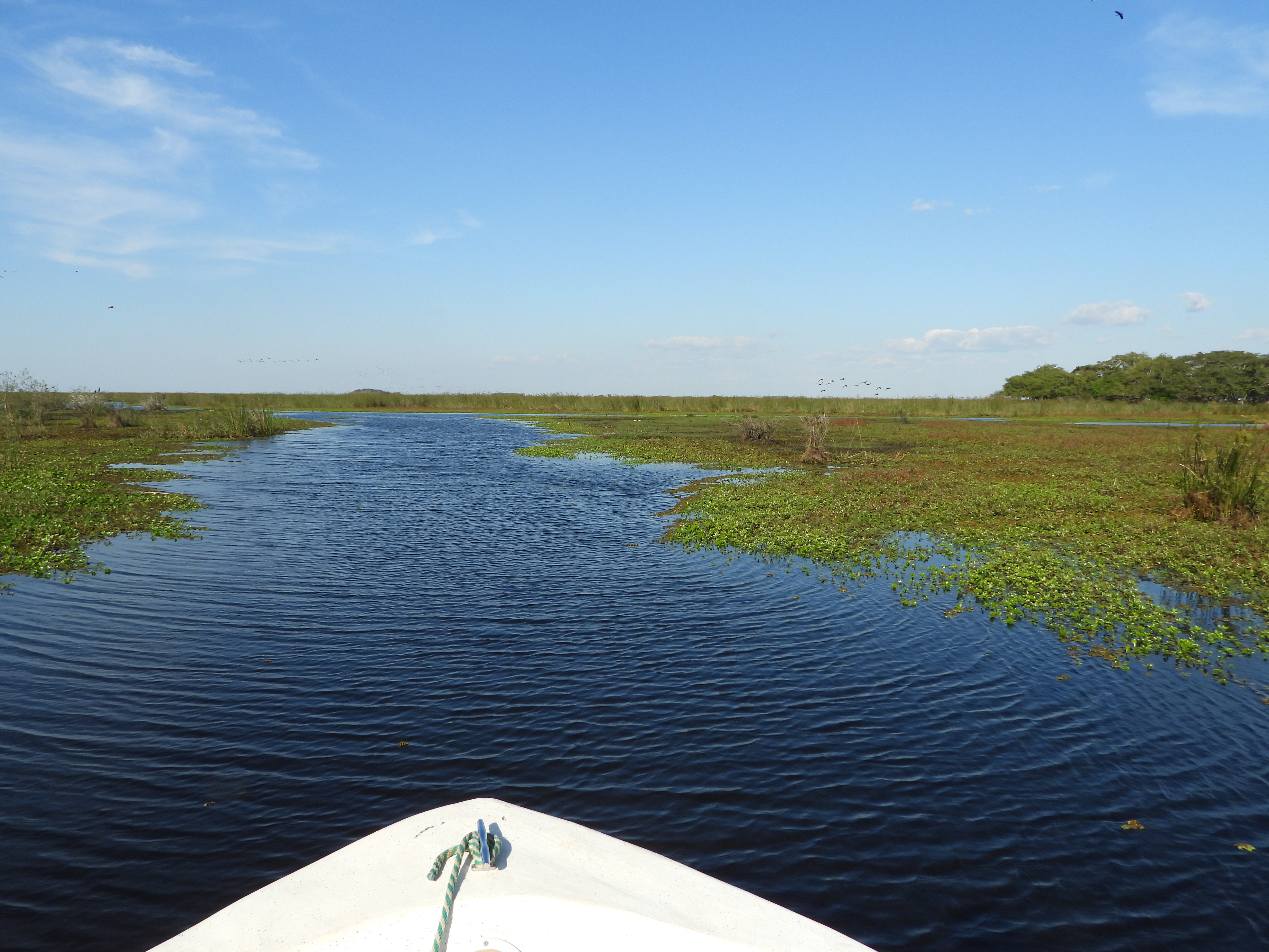 Iberá 