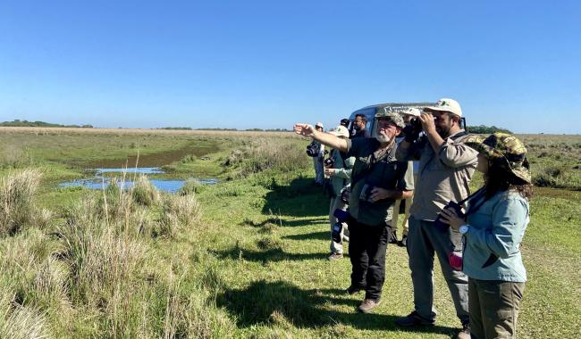 Birding in southern southamerica