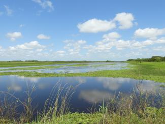 Pampas, Costa y Delta