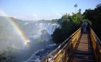 Ibera and Iguazu