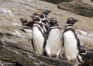 Southern Patagonia