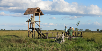 Iberá Wetlands