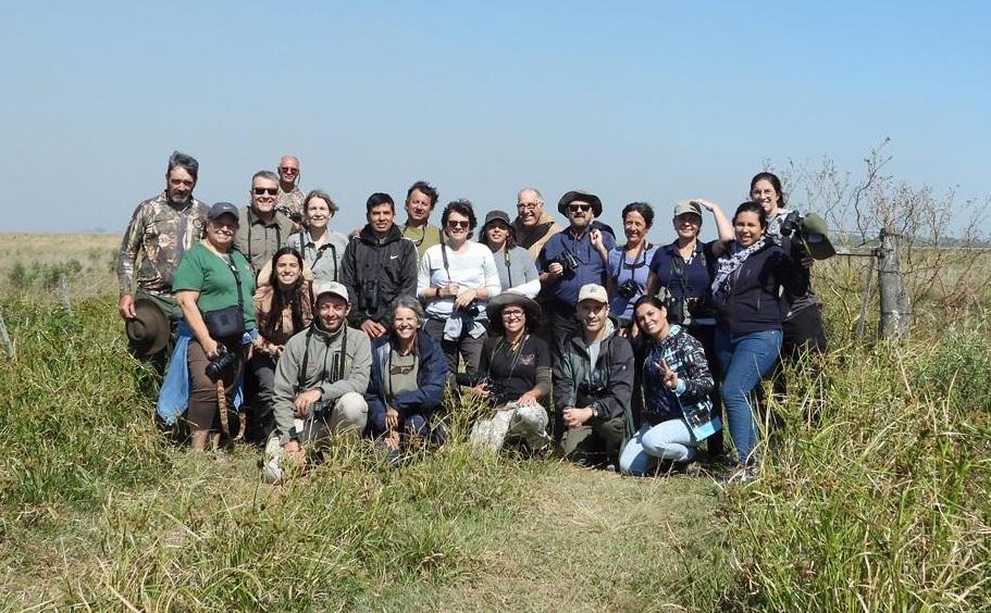 Curso de aves